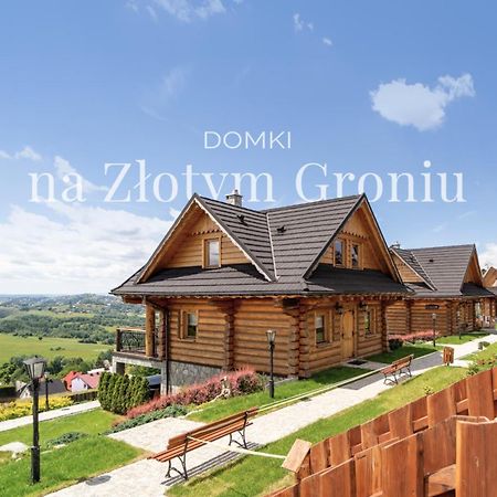 Domki Na Zlotym Groniu Villa Istebna Exterior photo